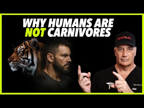 WHY HUMANS ARE NOT CARNIVORES 🥩🥩