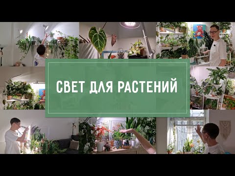 ALL ABOUT MY LIGHT FOR PLANTS