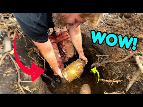 VALUABLE Antique TREASURE BURIED in Barrels for 125 years DISCOVERED!