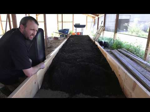 Large Scale Worm Farm - Just Getting Started