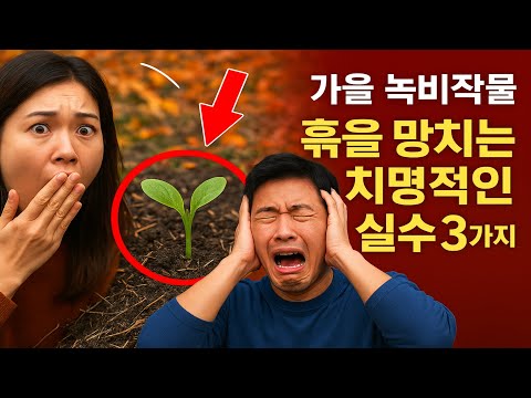 가을 녹비작물: 흙을 망치는 치명적인 실수 3가지 🌱