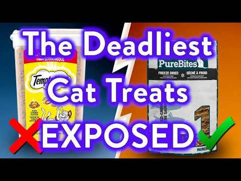 10 Cat Treats To AVOID At All Costs! (And Few That Are Safe!)