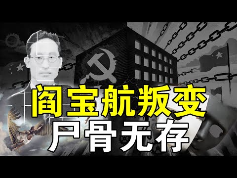 阎宝航端坐蒋介石办公室，心里却想着效忠毛泽东，真乃奇葩一个。结果，共党夺得权力后老阎被反噬，落得尸骨无存  362集  #阎宝航 #蒋介石 #毛泽东 #秦城 #阎明复 #习近平 #文革