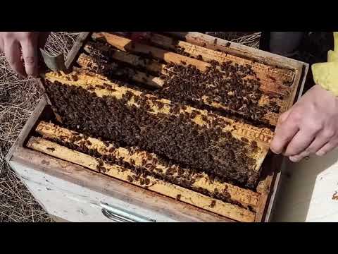 300+145 годовой цикл содержания от А до Я