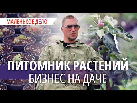 «Корни, деньги, тысячи стволов». Как построить бизнес на растениях