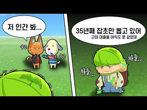 돈 벌 줄 몰라서 잡초로 대출 갚기