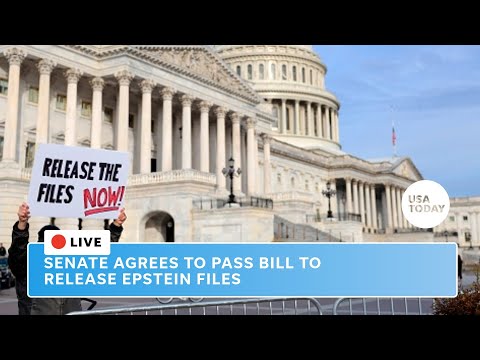 Watch live: Senate agrees to pass bill to release Jeffrey Epstein files