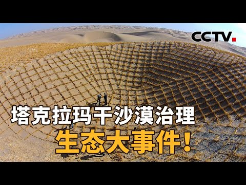沙海决战3046公里“锁边“完成！沙漠里种水稻、产珍珠、养螃蟹？未来这些都能在塔克拉玛干沙漠看到！| CCTV「新闻1+1」20241127