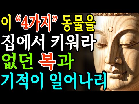 집 안에서 키우면 복이 들어오는 네 가지 동물ㅣ부처님 말씀ㅣ불교 명언
