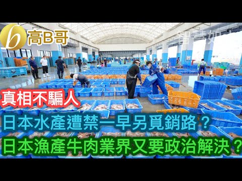 日本水產遭禁一早另覓銷路？ 日本漁產牛肉業界又要政治解決？［智慧如水 – 高B哥 GBG］