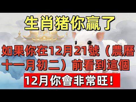 生肖猪你贏了！如果你在12月21號（農曆十一月初二）前看到這個，12月你會非常旺！#生肖星象#屬相運勢#生肖#家運#手寫#生肖運勢的那些事#先知#風水變化#提升運勢
