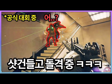 *공식대회 중 무지성 샷건 돌격하는 스트리머 ㅋㅋㅋㅋ