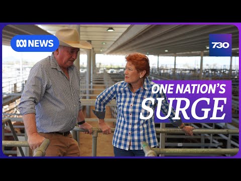 As the federal Coalition implodes, One Nation's vote is surging | 7.30