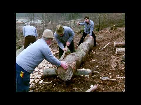 Dielsägen auf dem Schneideplatz (Langfassung)