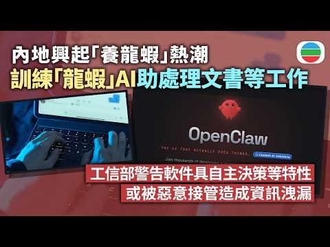 內地興起「養龍蝦」AI熱潮助用戶處理文書等工作 專家指不應依賴科技做決策|兩岸新聞|無綫新聞|TVB News|2026/03/11