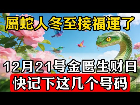 生肖蛇必看！明天12月21號冬至，偏財運旺，這4個數字一定要記牢，買彩券可中大獎，幸運連連！#佛教 #佛家 #佛法 #佛學知識 #佛學智慧 #修心修行 #佛教文化 #禪悟人生#傳統文化
