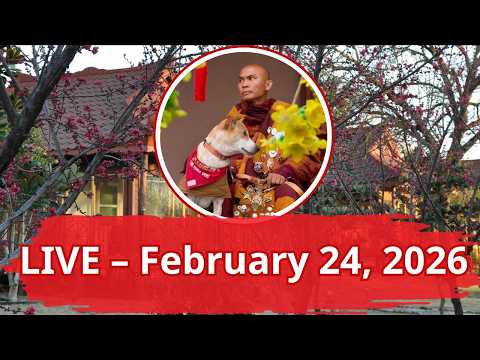 Livestream: With Bhikkhu Pannakara at Huong Dao Vipassana Bhavana Center