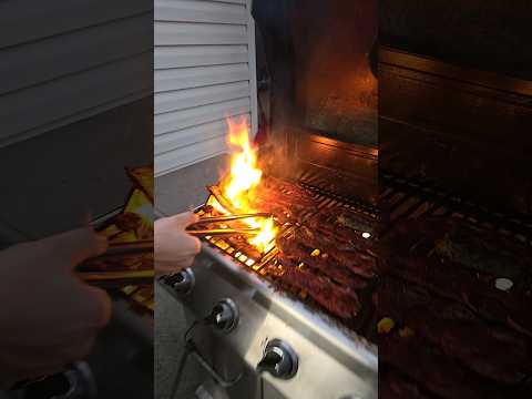 FEEDING A CHIN FAMILY WITH BEEF BBQ (DALLAS, TX)