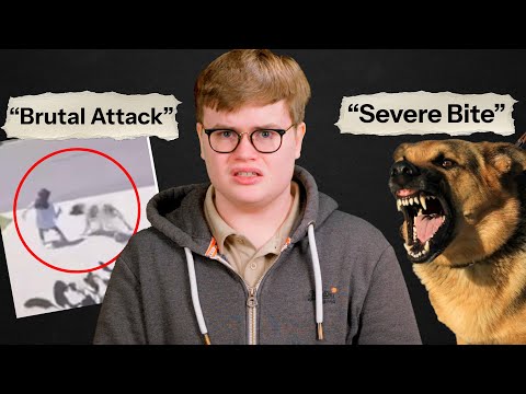 We Need To Euthanize More Dogs