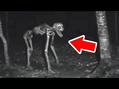 Camping Encounters So Terrifying, They’ll Freeze Your Soul