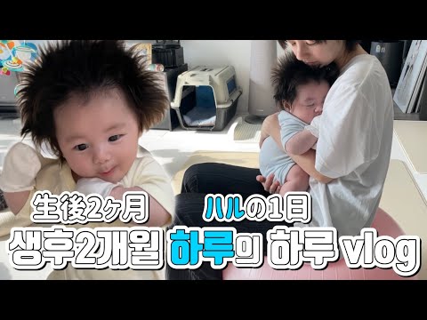 [2 months old] A day in the life of mommy with Haru! Drink well, play well and sleep well?