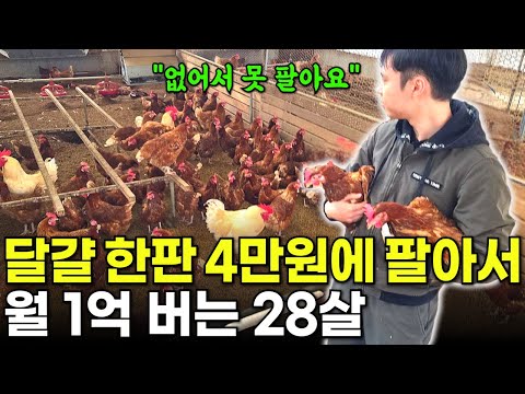 직접 만든 사료와 야생초 먹인 닭 5천마리 키워 대박난 28살 사장님[유나네자연숲농장] 휴먼스토리ㅣ자영업자이야기ㅣ장사의신ㅣ인터뷰