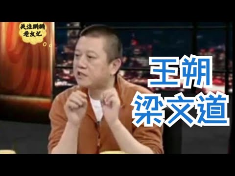 王朔 梁文道 | 锵锵三人行 2007