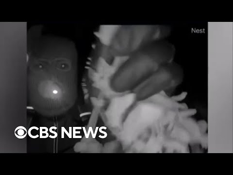 Former NYPD detective breaks down new Nancy Guthrie videos: "Someone knows this person"