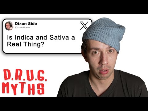 Debunking Drug Myths: Volume 2