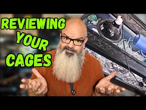 Reviewing Your Snake Setups!