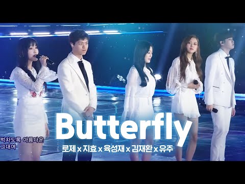 Special Stage 'Butterfly' @ 2017 SBS Gayo Daejeon Part 2 20171225