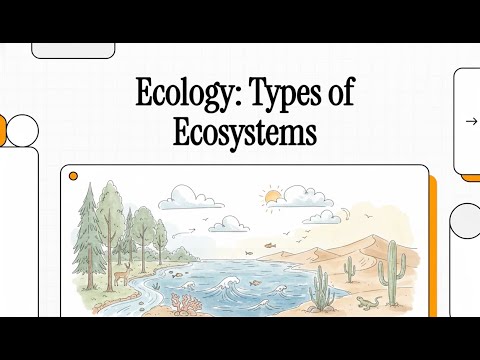 Types of Ecosystems: Terrestrial vs Aquatic Ecosystems & Ecosystem Boundaries