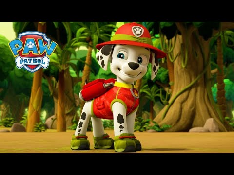 丛林救援！ - PAW Patrol 汪汪隊立大功 - 兒童卡通
