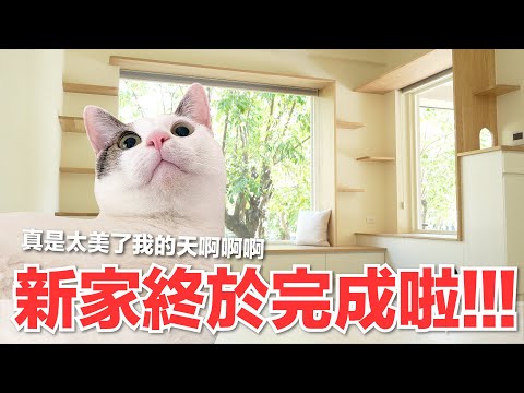 【好味小姐】新家終於完成啦！真是太美了我的天啊啊啊｜好味貓日常168