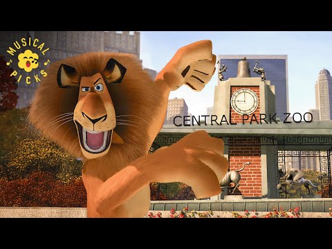 “Field Trip Friday!” Meet Alex the Lion & Friends | Madagascar