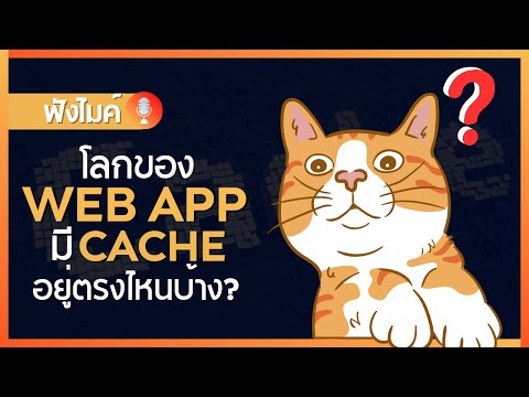 โลกของ Web App มี Cache อยู่ตรงไหนบ้าง ?