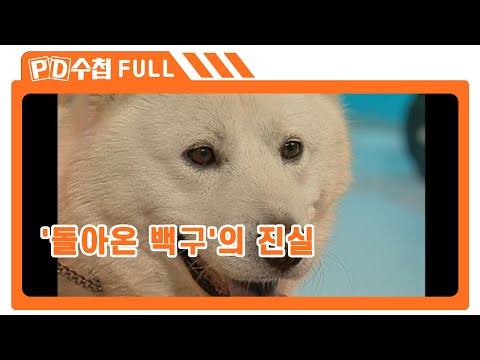 [Full] '돌아온 백구'의 진실_MBC 2006년 12월 5일 방송