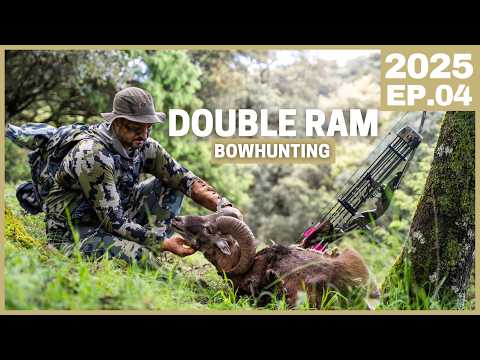 Bowhunting Mouflon with RECURVE and COMPOUND Bows: We doubled!