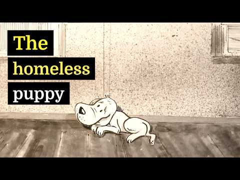 Labzik | a feel-good animated children's story