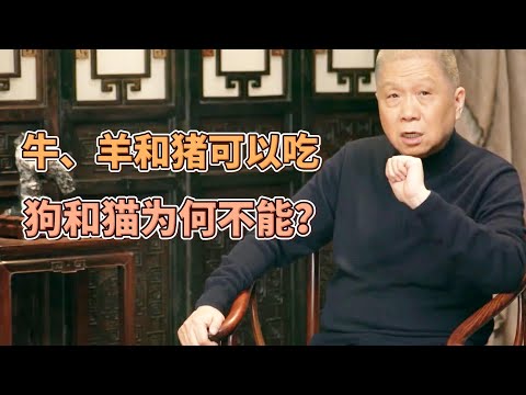 爲何豬牛羊可以吃，貓和狗卻不能？聽聽馬爺怎麽說！  #观复嘟嘟#马未都#圆桌派#窦文涛#中国#历史