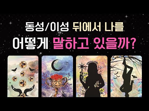[타로] 사람들이 뒤에서 말하는 내 이야기🩷 (동성/이성이 보는 내 모습💘)