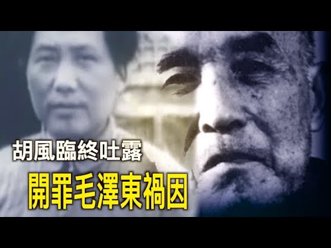 禁忌史話：李肅對話溫相--胡風臨終透露開罪毛澤東禍因