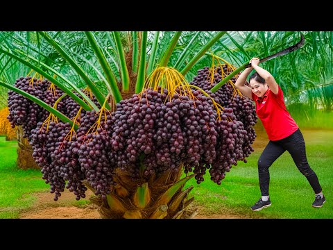 Harvest 1000+ Nightmare Blackberry & Go to Market Sell | Fruit that cause hallucinations when eaten