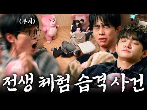 What if you woke up after a past life experience to find a giant bear right in front of you? LUCY...