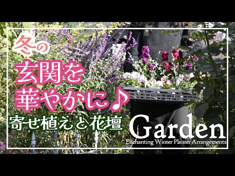 Winter Front Yard Makeover!❄️Planting Containers❄️Fixing Sparse Beds with Tiny Seedlings #Gardening