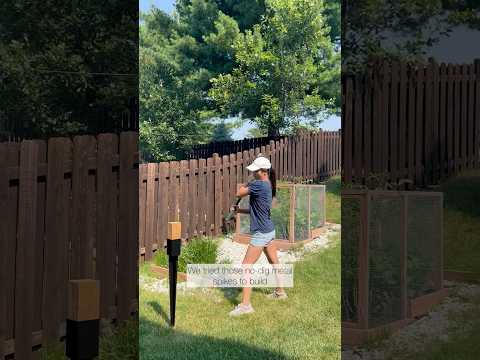 DIY vegetable garden fence with no dig ground spikes | Pt. 1