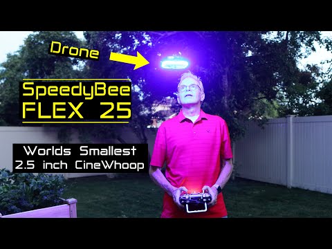 Speedy Bee Flex 25 FPV Drone - New Cool Kid on the Block - Review