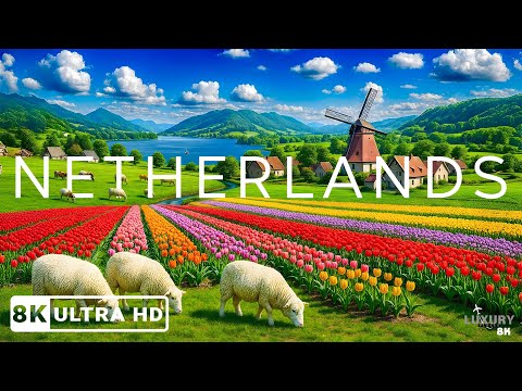Netherlands 8K UHD | The Land of Windmills – A Journey Through Picturesque Villages - VIDEO 8K UHD