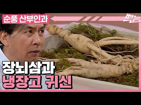 [순풍 산부인과] 화려한 군침이 나를 싸악 감싸네😋 장뇌삼을 노리는 냉장고 귀신 영규│266화