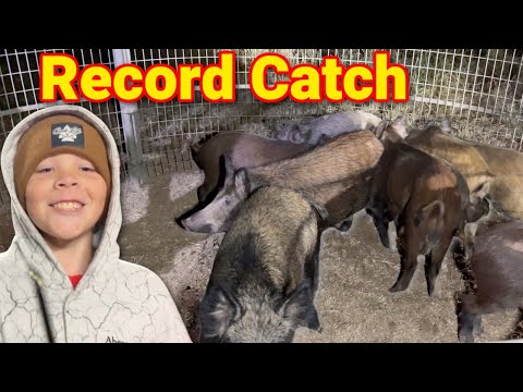 Record Hog Catch in One Drop!
